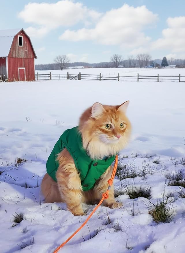 ASENKU Dog Winter Coat - Waterproof Windproof Dog Jacket, Warm Snowproof Doggie Puffer Vest for Cold Weather, Lightweight Snow Coats for Small Medium Large Dogs (L, Green)