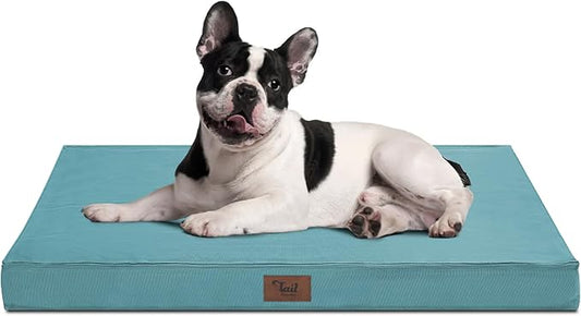 Orthopedic Dog Bed for Medium Dogs - Waterproof & Machine Washable Pet Bed with Egg Crate Foam, Removable Cover for Easy Cleaning, for Indoor & Outdoor Use, 30x20 Inch, Light Blue