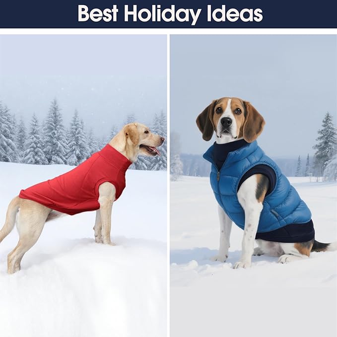 IECOii 2 Pack Dog Sweater Boy Girl - Soft, Dachshund Stretchy Fleece Sweaters with Leash Hole for Fall & Winter, Medium Dogs Coats Ideal for Home, Trips, and Walks (Size L, Blue & Red)