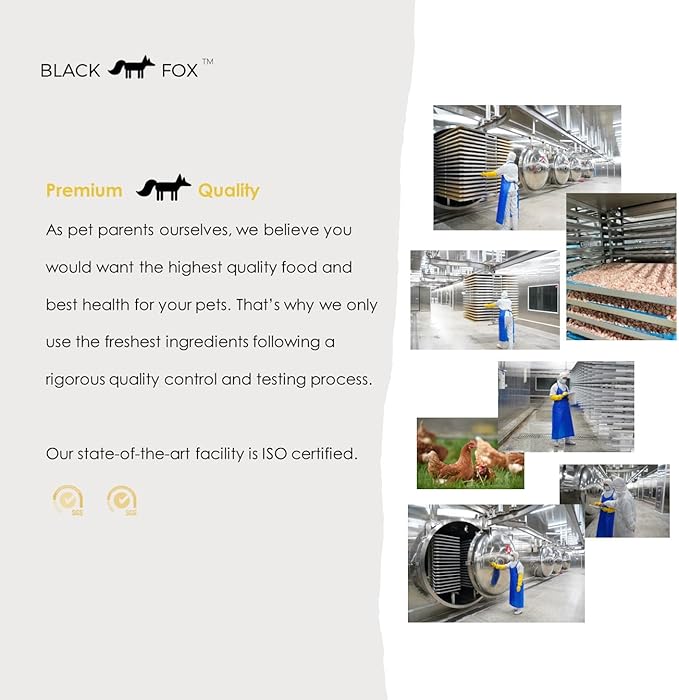 BLACK FOX Freeze-Dried Chicken Egg Yolk Dog Treats | Topper | Cat Treats | 4oz Single Ingredient, Raw, Healthy, All Natural, Human Grade, Digestion & Hairball Control