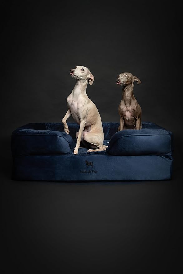 NOAH & PAW Large Dog Bed, 35x25x11 Inch, Orthopedic Dog Beds, Eggshell Memory Foam Infused with Cooling Gel, Inner Cover, Waterproof, Machine Washable (Velvet Sofa Collection)