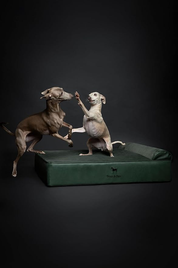 NOAH & PAW Large Dog Bed, 35x25x8.7 Inch, Orthopedic Dog Beds, Eggshell Memory Foam Infused with Cooling Gel, Waterproof, Machine Washable, Includes Inner Cover (Faux Leather)