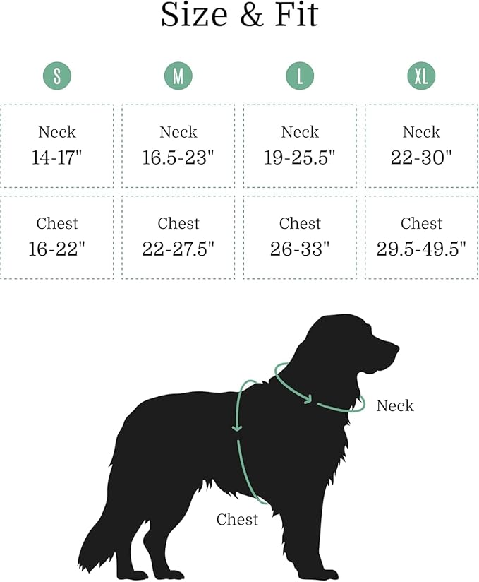 2025 New Edition, Fei & Eve MagEase Dog Harness - 3-Second Magnetic Buckles | 3-Point No-Pull Control | Heavy-Duty 900D Nylon | Dual Safety Handles | Breathable Mesh | Adjustable Fit | Small, Green