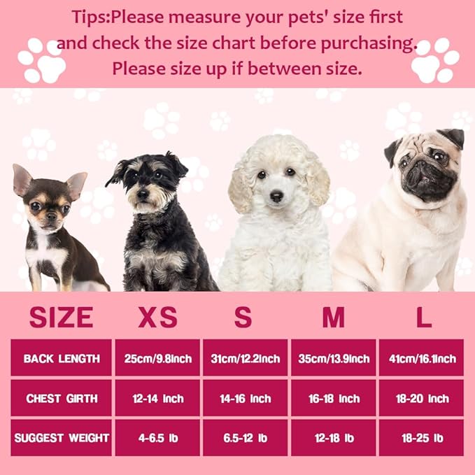 Dog Valentines Day Clothes Be My Pawlentine Dog Valentines Outfit Red Tulle Dog Dress with Bowknot for Small Medium Large Dogs Cat Girl