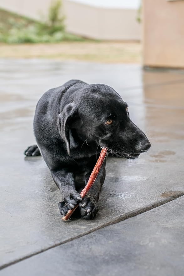 GigaBite Single Ingredient All Natural Free Range Bully Treats and Chews - Bully Sticks/Bladder Sticks/Beef Esophagus by Best Pet Supplies - Esophagus Sticks (6 Inch), Pack of 50