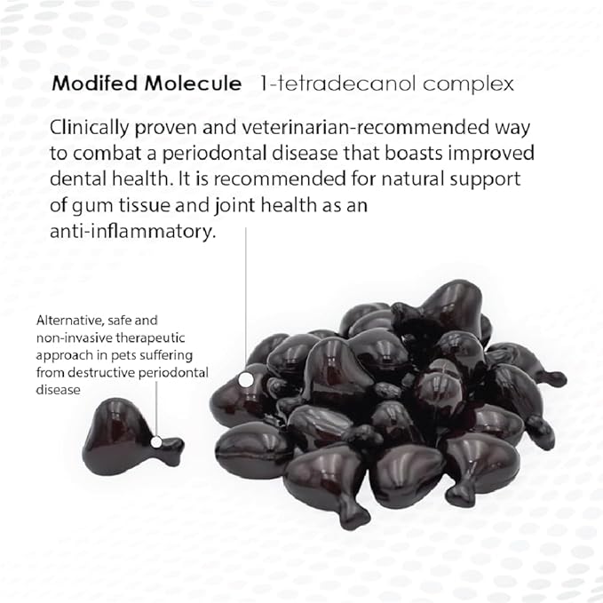 1-TDC Periodontal - Support Healthy Teeth Gums in Dogs Cats - Safe Non-invasive - 120 Capsules