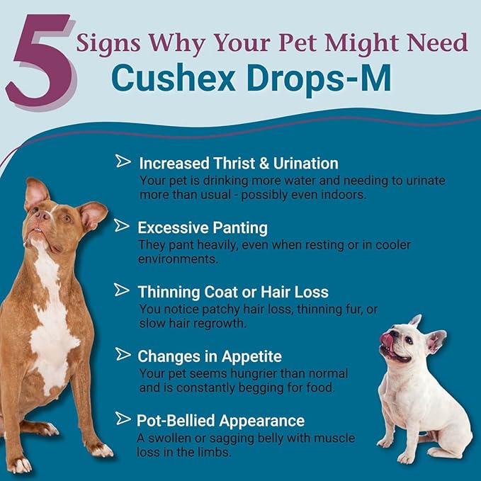 PetAlive Cushex Drops-M, Cushing's Disease Pet Supplement, 2fl oz., 59ML