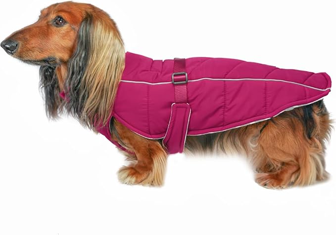 DJANGO Insulated Puffer Dog Jacket with Harness Hole – Warm, Water-Repellent Winter Dog Coat Large Dogs – Adjustable, Reflective Cold Weather Dog Apparel for Fall, Snow, Rain – Hibiscus Pink, Large