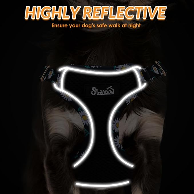 SlowTon Small Dog Harness - No Pull Dog Harness and Leash Set, Soft Mesh Lightweight Puppy Vest Harnesses, Adjustable Pet Harnesses for XXS XS Small Medium Easy Walk Hiking (Black, S)