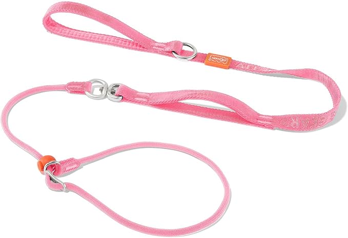 Howgo Slip Lead Dog Leash with Double Handles | Reflective Dog Training Leash with 360° Swivel Anti-Tangle | Heavy-Duty Leash and Collar for Large Medium and Small Dogs No-Pull Walking (Pink, 5.5FT)