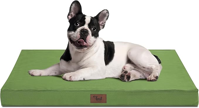 Orthopedic Dog Bed for Medium Dogs - Waterproof & Machine Washable Pet Bed with Egg Crate Foam, Removable Cover for Easy Cleaning, for Indoor & Outdoor Use, 30x20 Inch, Light Green