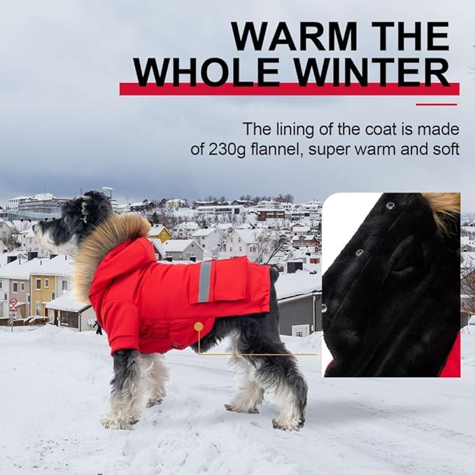 PINA Small Dog Coats - Waterproof, Warm Winter Jacket with Faux Fur Hood & Pocket
