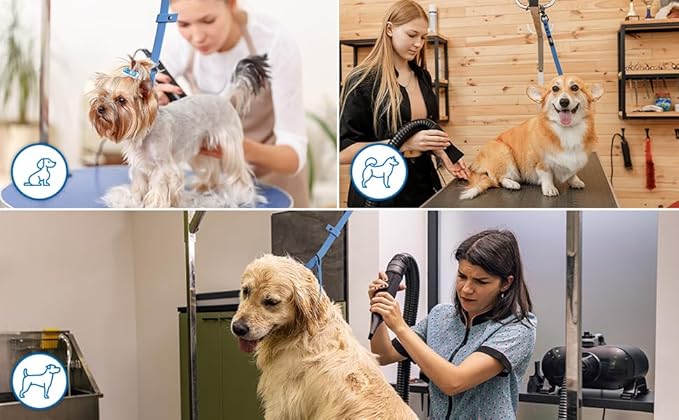 Prestige Elite - Set of 6 - Dog Groomers Helper Grooming Loops for Dogs Groomers - Adjustable Biothane Dog Grooming Loop, Belly Strap, Grooming Noose, Extension Strap & More - Dog Grooming Leash