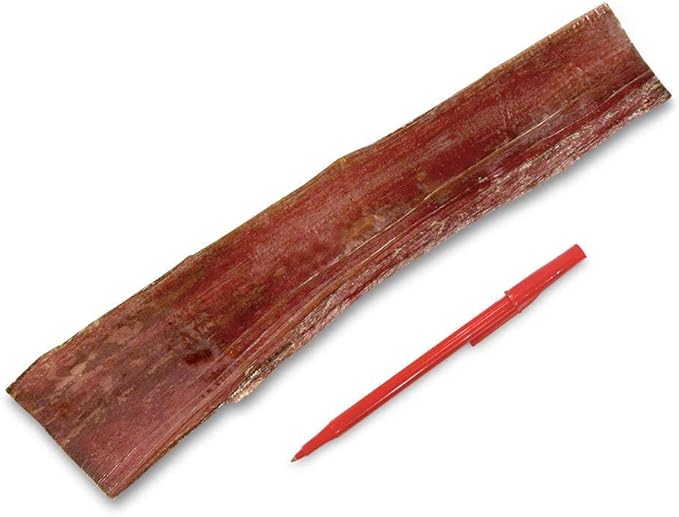 GigaBite Single Ingredient All Natural Free Range Bully Treats and Chews - Bully Sticks/Bladder Sticks/Beef Esophagus by Best Pet Supplies - Esophagus Strips (12 Inch), Pack of 10