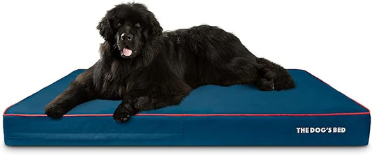 The Dog’s Bed Orthopedic Memory Foam Dog Bed, XXXL Blue/Red, Pain Relief for Arthritis, Hip & Elbow Dysplasia, Post Surgery, Lameness, Supportive, Calming, Waterproof Washable Cover