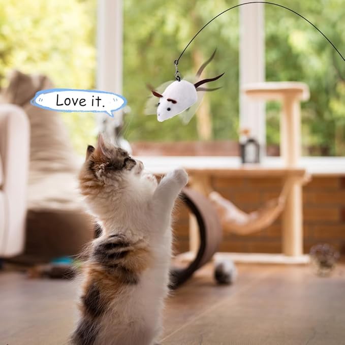 PAZ'S GIFT Cat Wand Toys, 2Piece Catnip Wiggle Sounding Toys, Soft and Durable, Interactive cat Kick Toy for Indoor Play Cats and mice