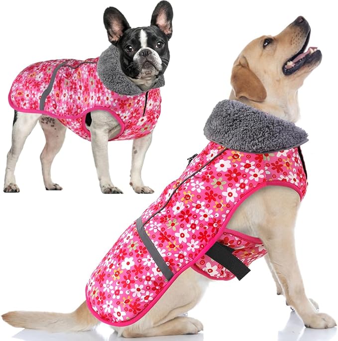 Doglay Dog Coat, Waterproof Dog Jacket Pet Winter Coat for Cold Weather with Thicken Furry Collar, Reflective Puppy Winter Jacket Warm Fleece Lining for Small Medium Large Pets