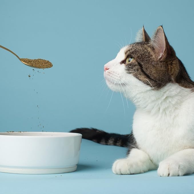 The Missing Link Pet Kelp Feline Well-Being 6oz Superfood Powdered Supplement, Organic & Limited Ingredient Formula for Digestive & Overall Health of Cats