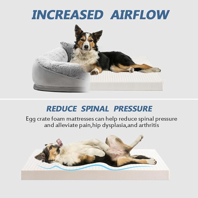 Orthopedic Dog Bed, Removable and Washable, Suitable for Large, Medium and Small Dogs/Puppy Non-Slip, Waterproof, Soft, Warm, Pet Sleeping Sofa Bed (Gray, 22.0''L x 17.0''W x 6.0''Th)