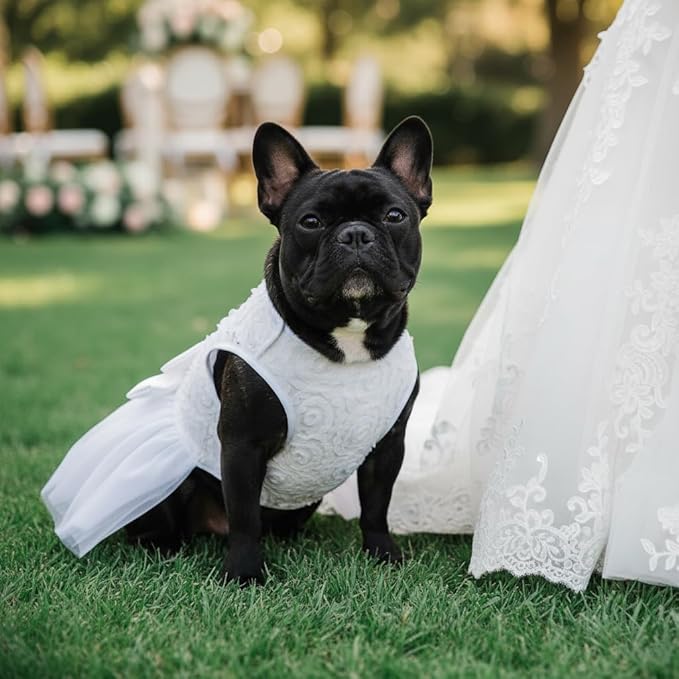 ASENKU Dog Dress Pet Wedding Dress Princess Lace Puppy Birthday Party Outfit Formal Apparel Girl for Small Medium Dogs Cats (Large, White)