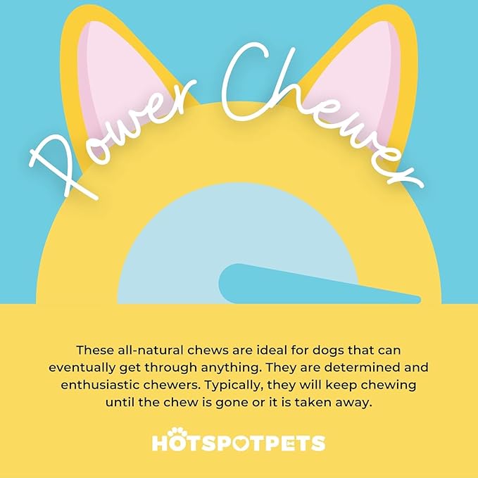 Himalayan Yak Chews for Dogs – (3 Pack) Long-Lasting Natural Dog Chew, Healthy & Safe Yak Cheese Treats for Aggressive Chewers, Small, Medium & Large Dogs - 100% No Rawhide, High Protein (X-Large)