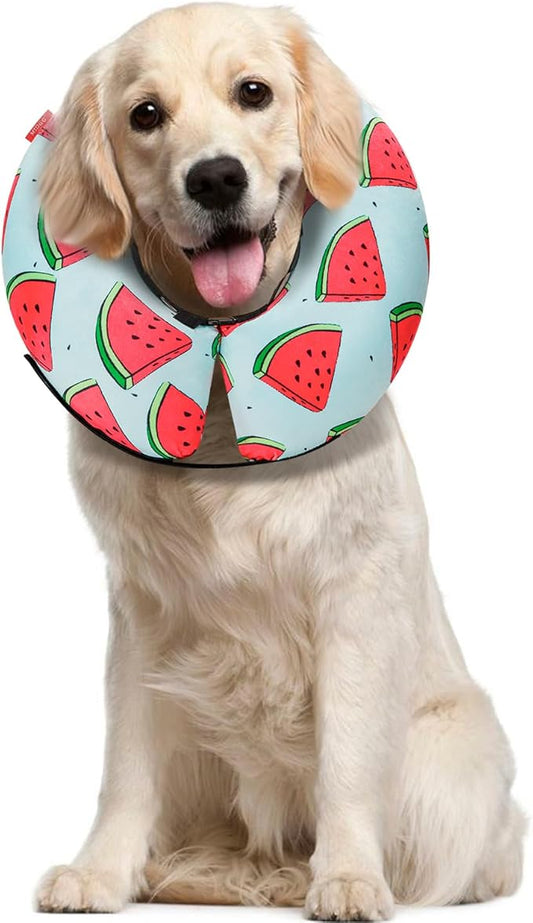 MIDOG Inflatable Dog Cone Alternative for After Surgery - Soft Protective Donut Collar Prevents Licking, Comfortable Recovery E-Collar Alternative for Small Medium Large Dogs (Watermelon,L)
