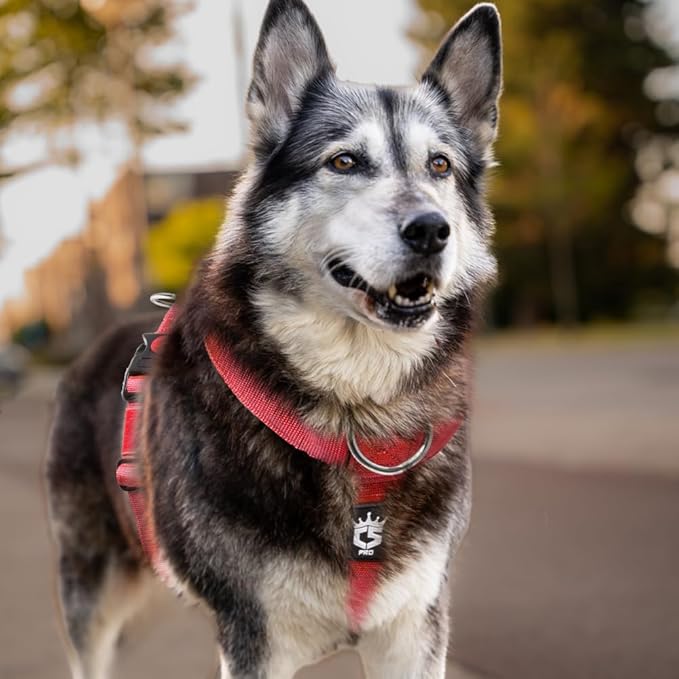 TSPRO Premium Heavy Duty Dog Harness, Adjustable Tactical Dog Harness for Large Dogs with Quick-Release Buckle and Comfortable Soft Handle for Outdoor Walking and Running (Red L)