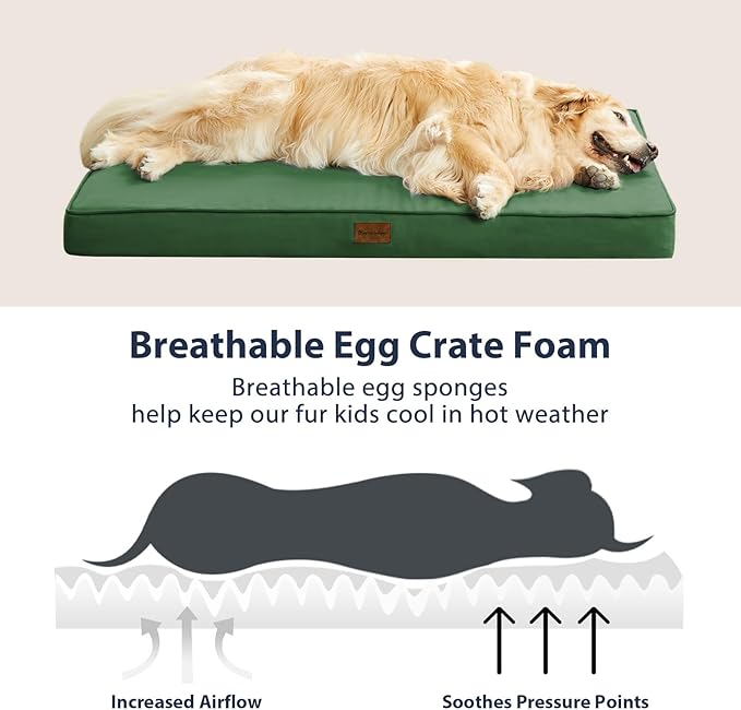 BFPETHOME Outdoor Dog Bed for Large Dogs, Waterproof, Orthopedic with Removable Washable Cover, Egg Crate Foam Mat (36 x 27in, Green)