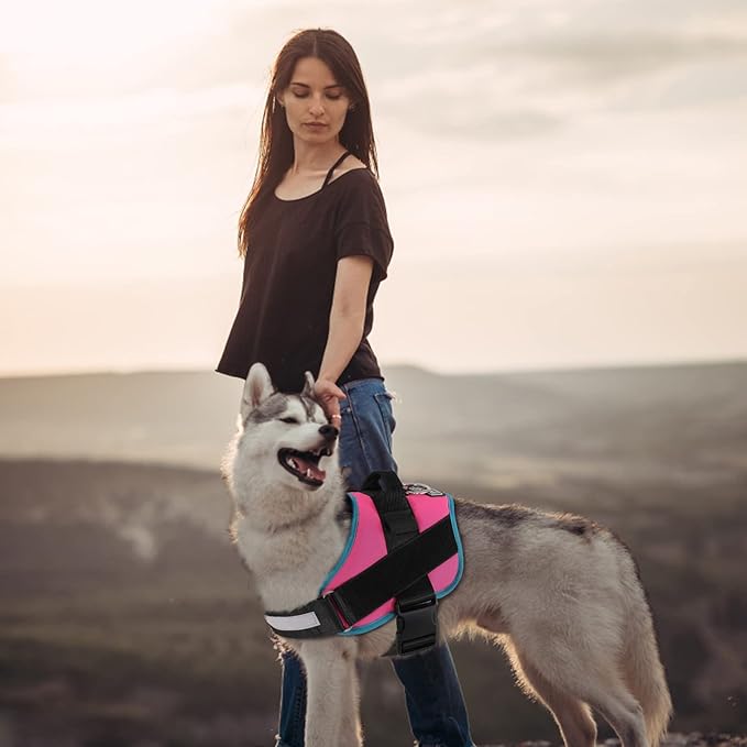 Bolux Dog Harness, No-Pull Reflective Dog Vest, Breathable Adjustable Pet Harness with Handle for Outdoor Walking - No More Pulling, Tugging or Choking Large (Pack of 1) RoseTurquoise
