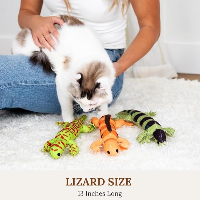 Cat Toy Snake Lizard Catnip Toys Chew Bite Resistant Toys for Indoor Cats Boredom Relief Teeth Cleaning Interactive Funny Cute Kitten Cat Lover Gifts Set of 6 Realistic Hunt Prey Activity Games