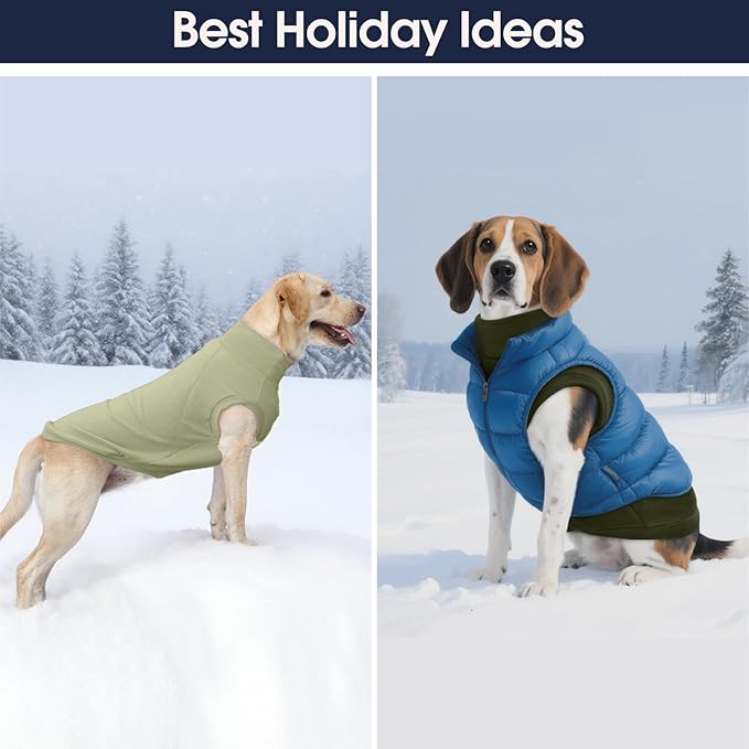 IECOii 2 Pack Fleece Sweaters for Dogs Boy Girl - Warm & Stretchy, Fall & Winter Coats for Small Breeds, Soft & Cozy Dogs Fleece Sweaters for Indoor Outdoor(Size M, Light Green & Army Green)