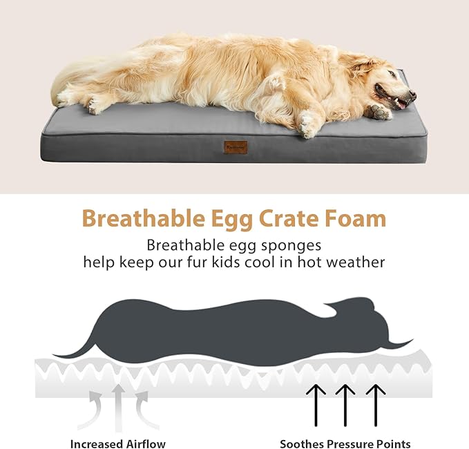 BFPETHOME Outdoor Dog Bed - Waterproof, Orthopedic, Removable Cover, Egg Crate Foam (54 x 36 in, Deep Grey) for Medium, Large, Extra Large Dogs
