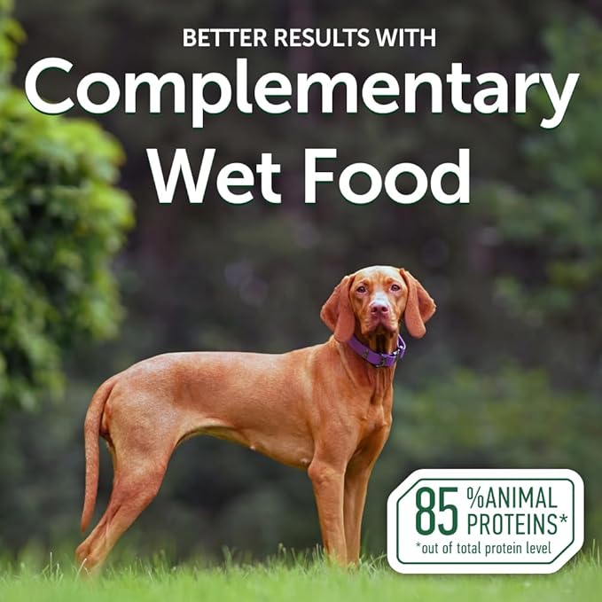 Nature's Protection Wet Dog Food Pouches for Small & Large Breed - High Protein, 24-Pack Soft Dog Food Toppers for Adult Red Fur Dogs (Superior Care - Tuna Fish, 2.46-oz)