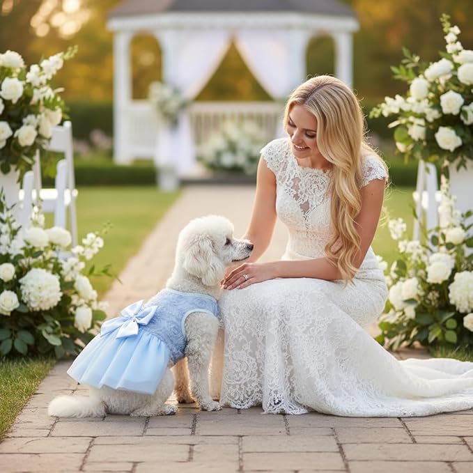 ASENKU Dog Dress Pet Wedding Dress Princess Lace Puppy Birthday Party Outfit Formal Apparel Girl for Small Medium Dogs Cats (Large, Blue)