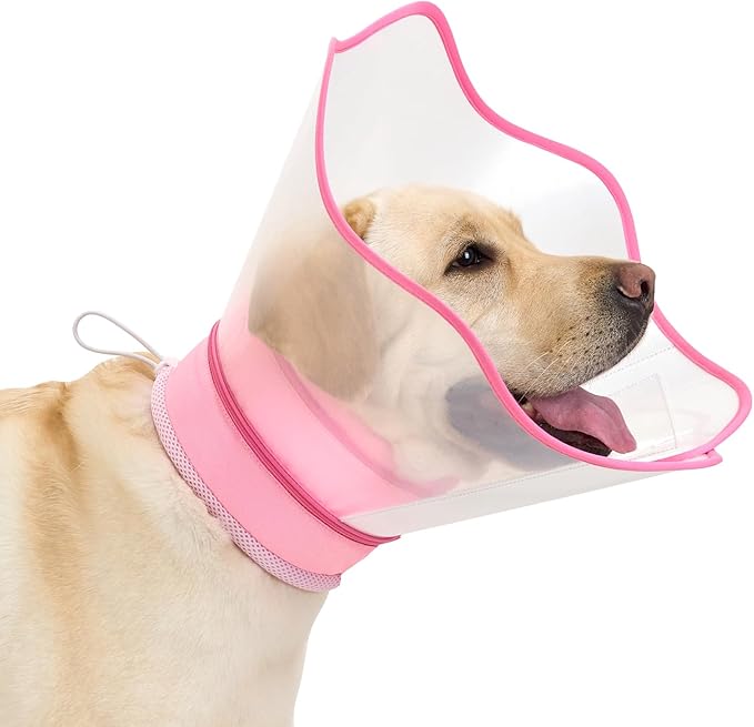 Soft Dog Cone Collar After Surgery,2-in-1 Adjustable Sponge Recovery Collar to Stop Licking Biting Wounds, Pet Elizabethan Dog Cone Alternative with Shield, XXL