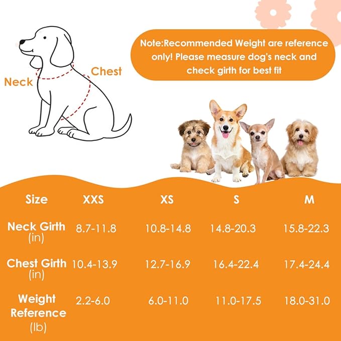 SlowTon Small Dog Harness - No Pull Dog Harness and Leash Set, Soft Mesh Lightweight Puppy Vest Harnesses, Adjustable Pet Harnesses for XXS XS Small Medium Easy Walk Hiking (Black, S)