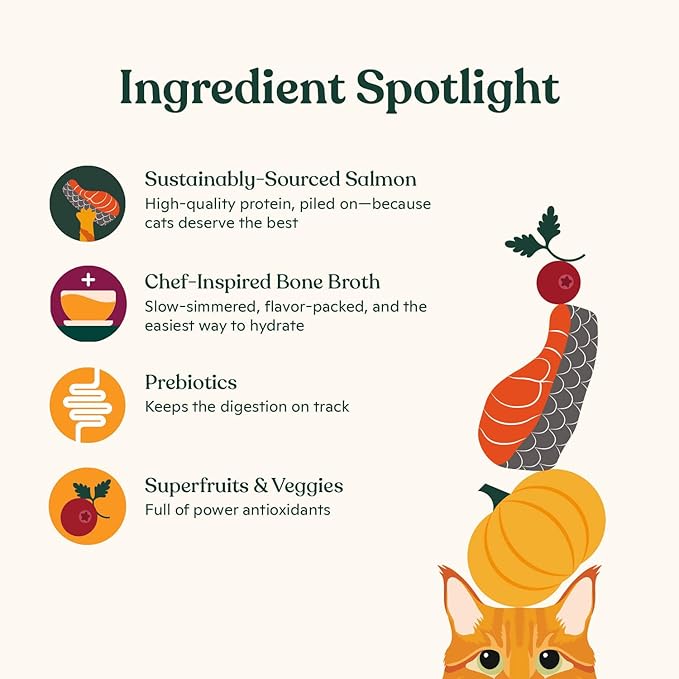 Made by Nacho Dry Cat Kibble 2lb Bag, High Protein and Grain-Friendly Premium Cat Food, Sustainably Caught Salmon and Pumpkin, Infused with Bone Broth for Hydration, Limited Ingredients, Single Bag