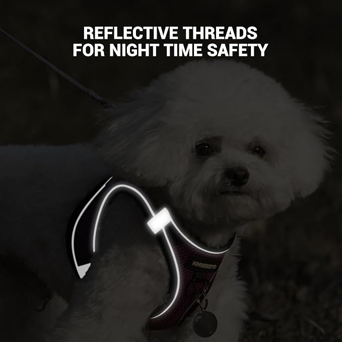 Dog Harness and Leash Set, Dog Harness for Dogs No Pull, No-Chock Step-in Reflective Breathable Lightweight Easy Walk Vest Harnesses with Safety Buckle for Small Medium Dogs, Cats (Purple, XL)