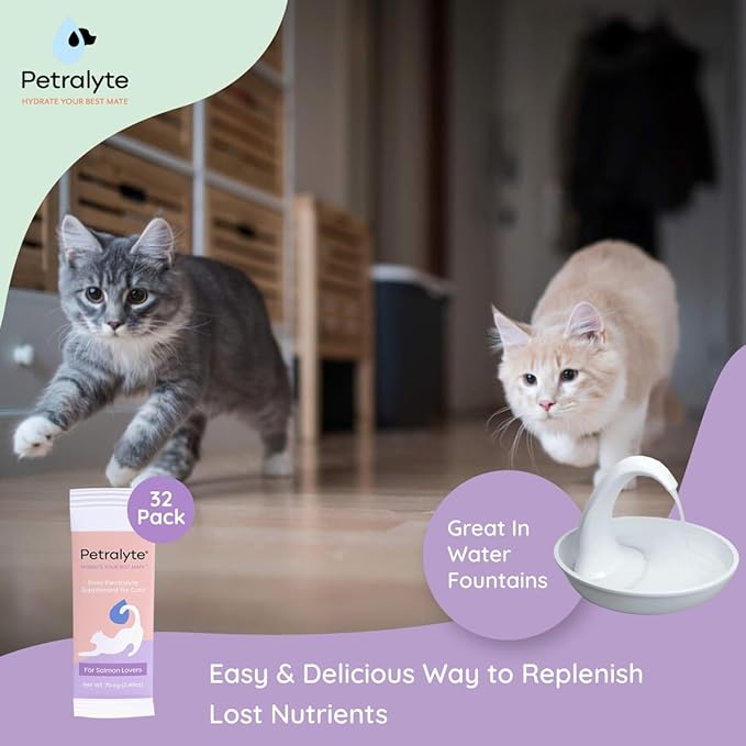 Cat Hydration Electrolyte and Cat Joint Supplement | Hydration Support for Cats w/Glucosamine, Chondroitin, L-Glutamine, Taurine, Lysine & Prebiotics | for Salmon Lovers | 32 Packets