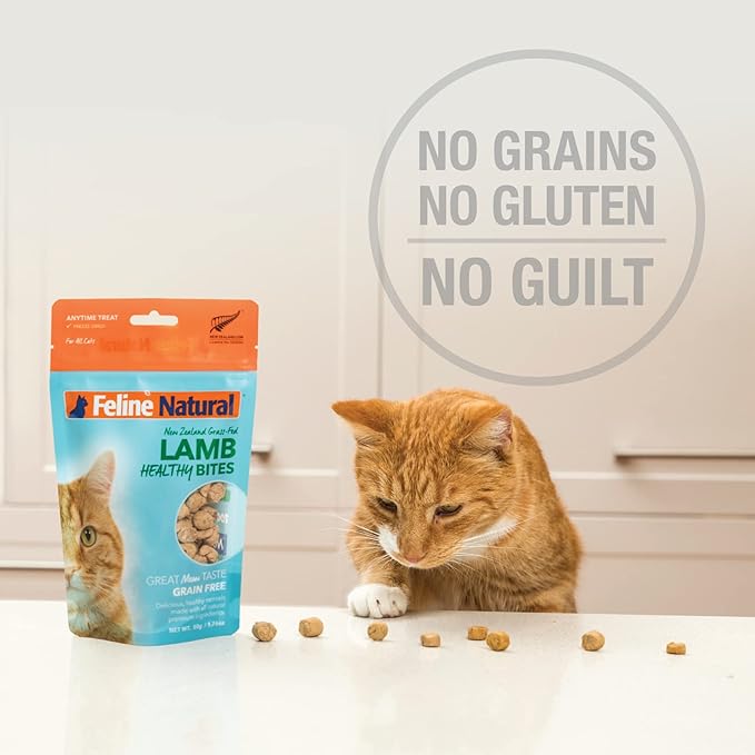 Feline Natural Freeze Dried Cat Treats – New Zealand Single-Source Protein Treats for Cats - Grain-Free Healthy Cat Snacks, Beef Bites, 1.76oz