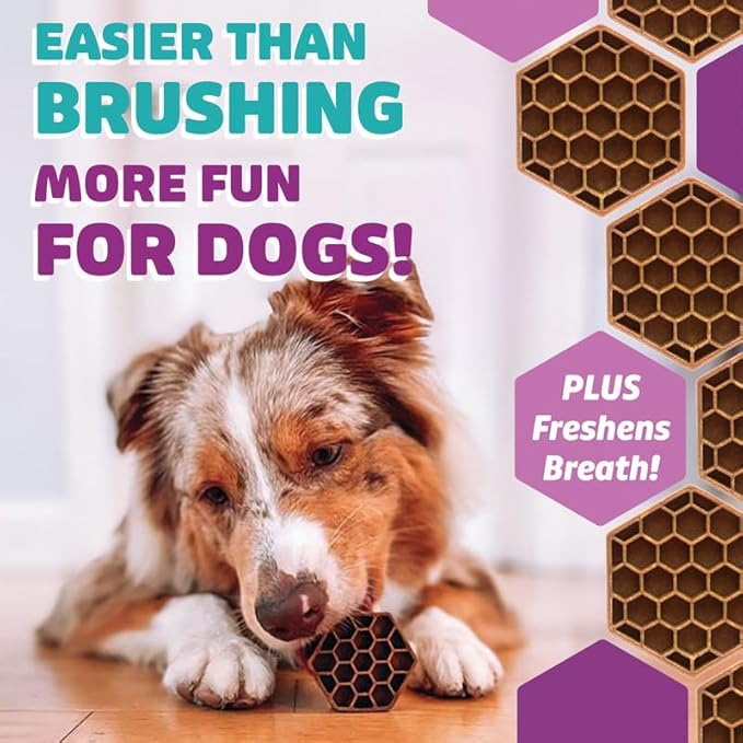 Longevity15 C15:0 Dog Health Supplement (30-Day Supply) & Yummy Combs Dog Dental Treats (8oz Bag) for Medium Dogs – C15:0 Fatty Acid for Daily Wellness, Food Topper – VOHC Approved Oral Care Treat