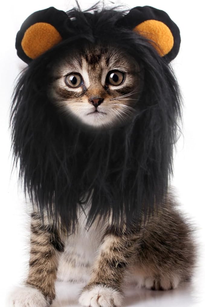 Cat Wig Funny Cute Cat Costume Hat Lion Mane Accessories Dress Up Clothing Festival Party (Black, Large)