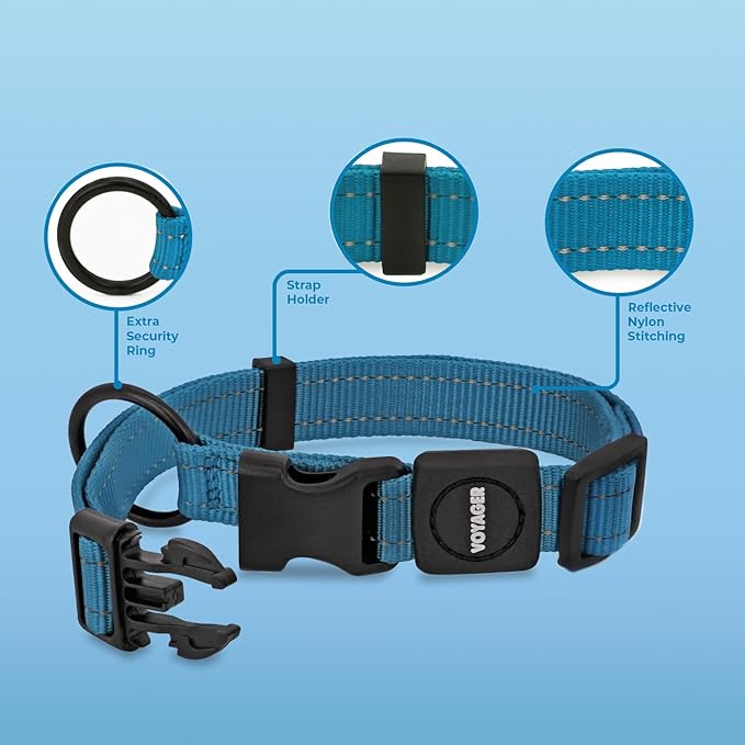 Voyager Reflective Dog Leash Collar Set with Neoprene Handle Supports Small, Medium, and Large Breed Puppies, Cute and Heavy Duty for Walking, Running, and Training - Turquoise, S