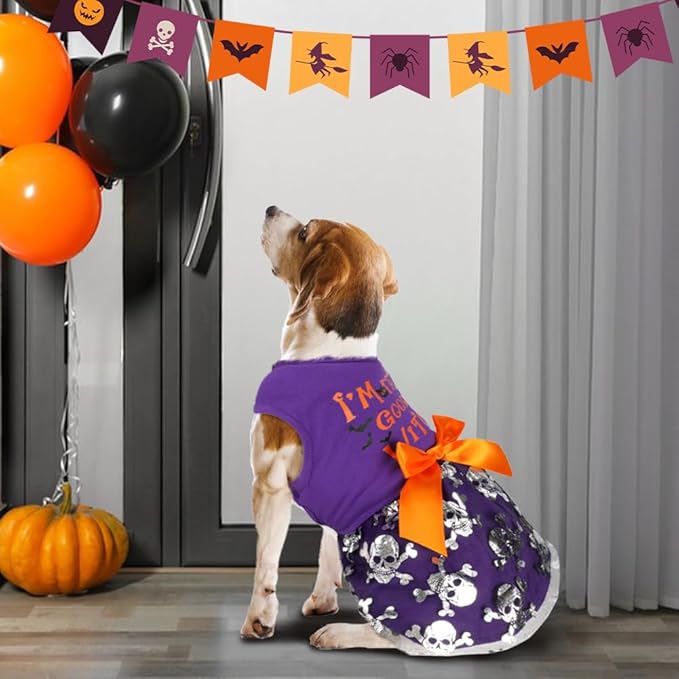 Dog Halloween Costumes Dog Dress Halloween Costumes for Dogs Funny Puppy Dress with Bow for Small Medium Large Dogs Pumpkin Witch Bat Pet Costume Halloween