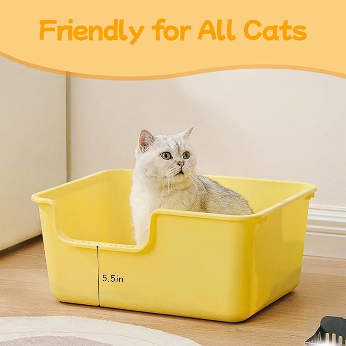 Large Cat Litter Box with High Sides,Cat Litter Pan with Low Entry,Cat Box for Indoor Kittens & Senior Cats,Anti-Splashing,Waterproof,Easy to Clean,Durable (Grey)