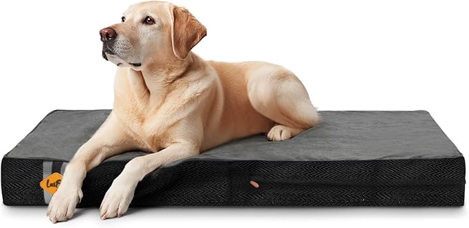 Laifug Orthopedic Memory Foam Pet(40"x 25"x 4",Black)/Dog Bed with Durable Waterproof Liner and Removable Washable Cover