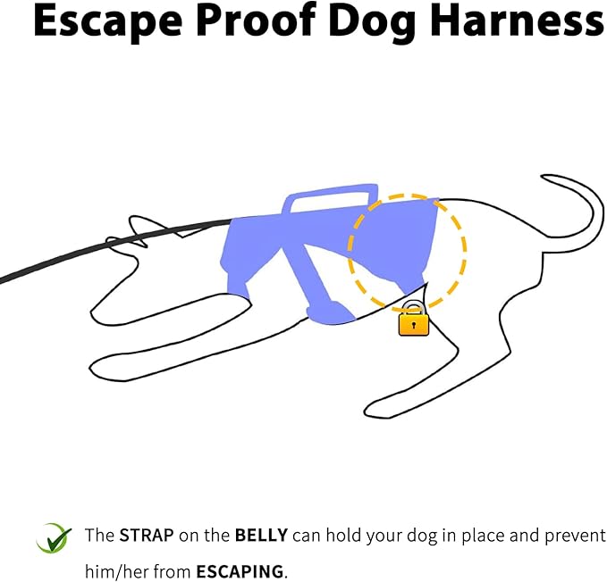 Huntboo Escape Proof Dog Harness, Escape Artist Harness, Reflective Dog Harness with Handle, Durable,Adjustable Vest for Small Medium Large Dogs Walking, Training, and Running Gear(Technicolor Blue,L)