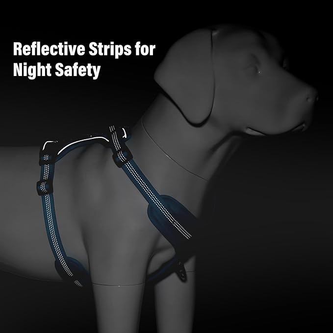 Plutus Pet No Pull Dog Harness, Release at Neck, Soft Padded, Reflective Adjustable Dog Vest Harness for Small, Medium, Large Dogs(Light Blue, M)