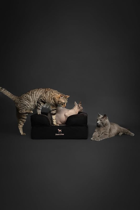 NOAH & PAW Small Dog Bed, 20x15x8 Inch, Cat Bed for Indoor Cats, Orthopedic Eggshell Memory Foam Infused with Cooling Gel, Waterproof Inner Cover Machine Washable (Denim Collection)