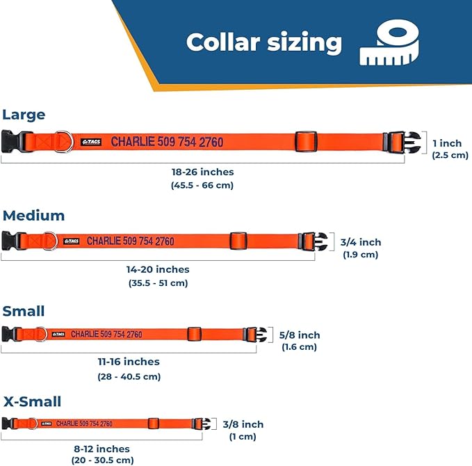 GoTags Personalized Dog Collar, Custom Embroidered with Pet Name and Phone Number in Blue, Black, Pink, Red and Orange, for Boy and Girl Dogs or Cats, Adjustable Sizes, Small, Medium, and Large